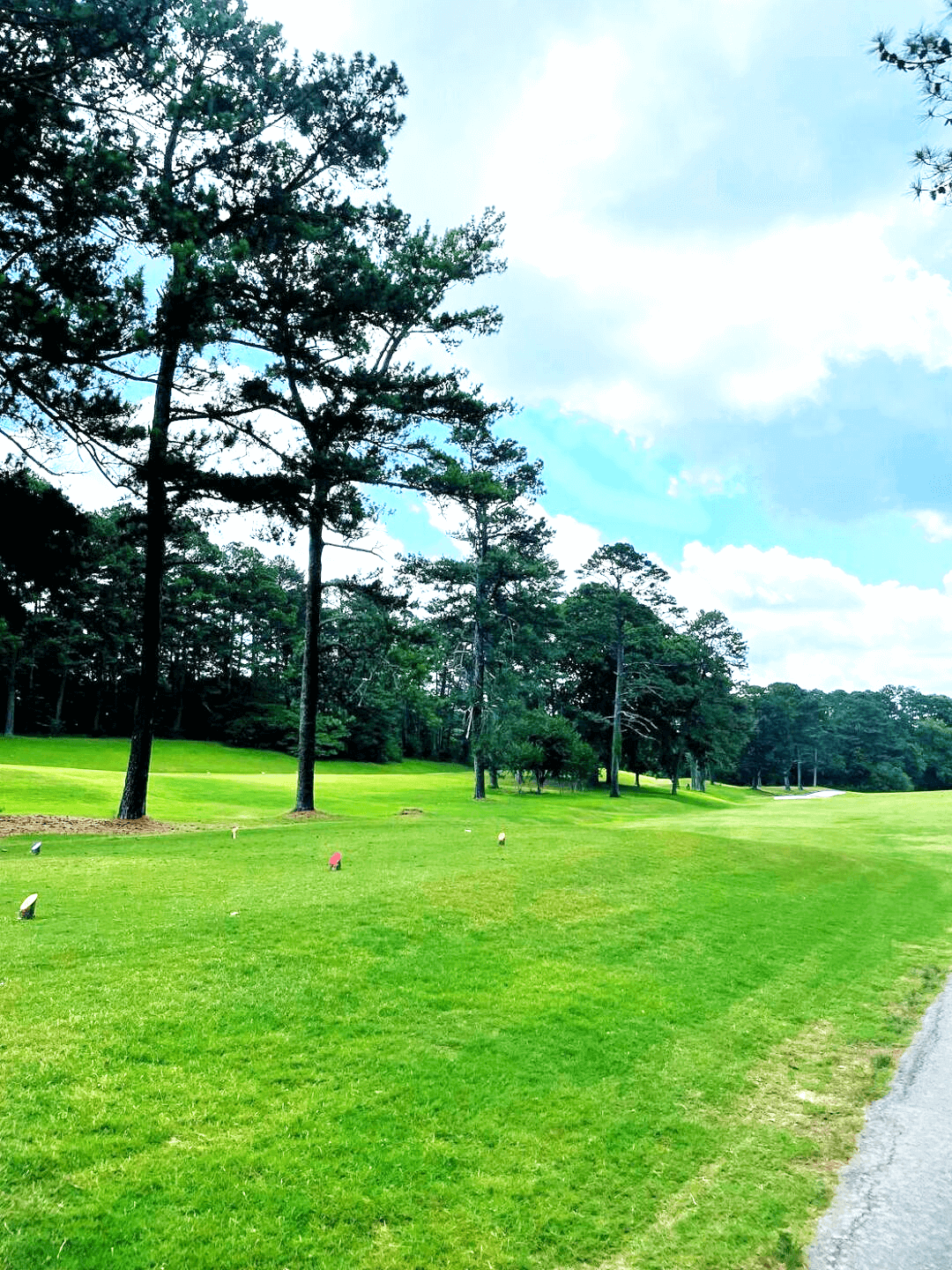 #5 Tee Box